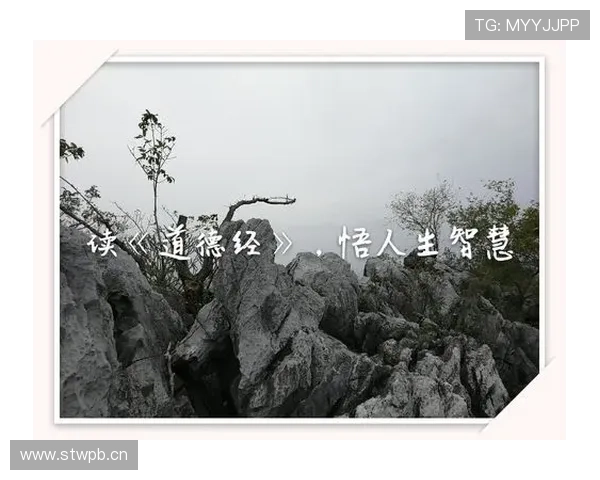 信佛企业家:在商海沉浮中坚守佛法信念与道德经营的力量 信佛企业家:在商海沉浮中坚守佛法信念与道德经营的力量